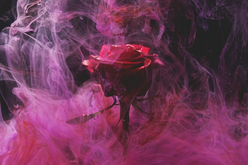 Rose