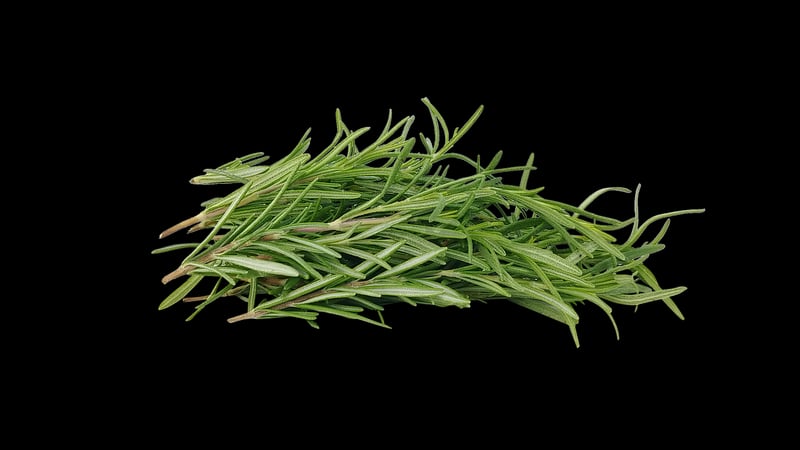 Rosemary